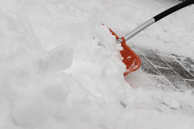 new york premises liability lawyers