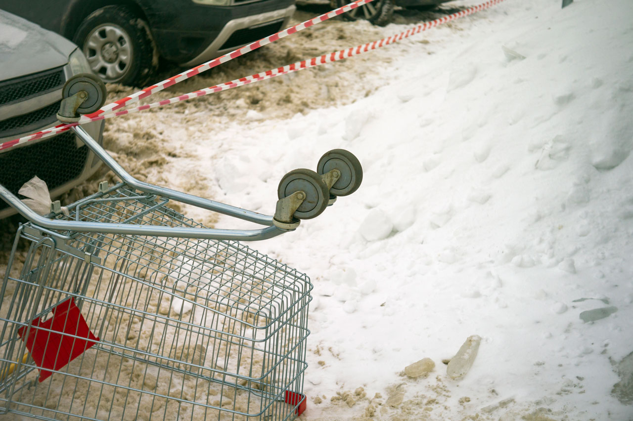 Shopping Cart Accident